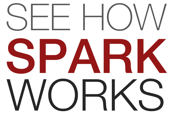 See How Spark Works